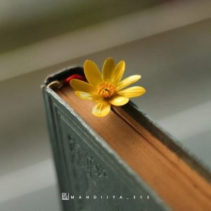 مهدویت 6 مهدویت